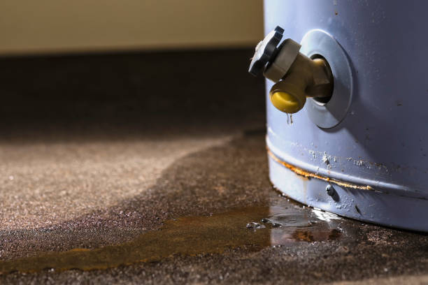 Best Water damage restoration experts  in Chocowinity, NC