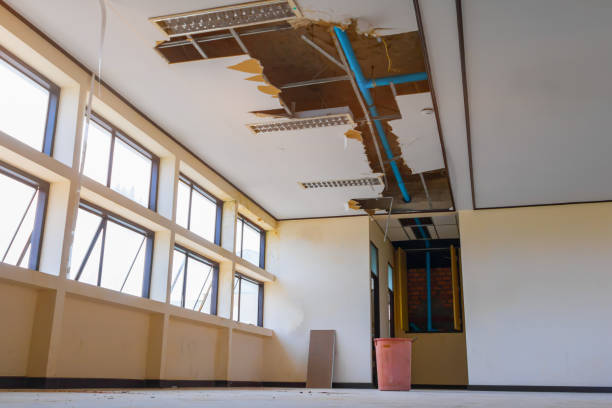 Best Commercial water damage restoration  in Chocowinity, NC