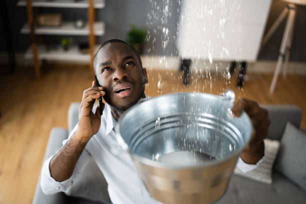 Best Sewage cleanup and water damage restoration  in Chocowinity, NC