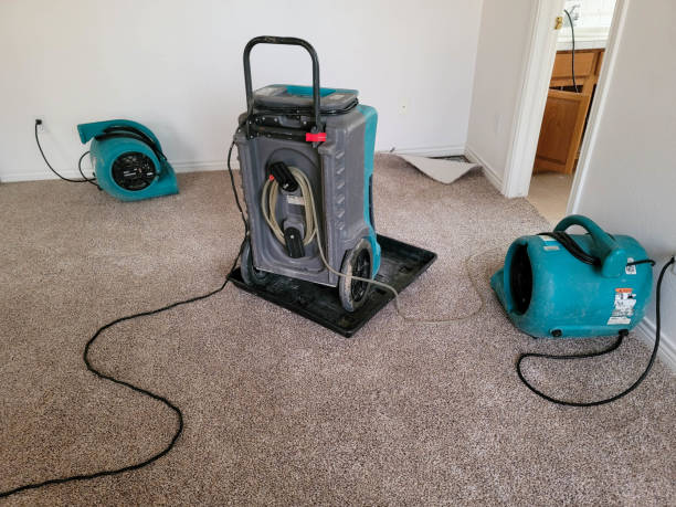 Best Water damage restoration services  in Chocowinity, NC