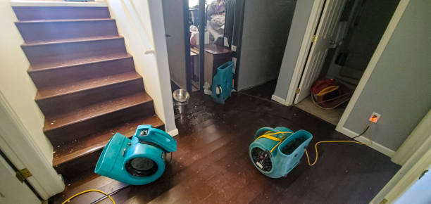 Best Professional water damage repair  in Chocowinity, NC