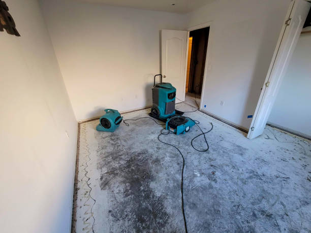 Best 24-hour water damage restoration  in Chocowinity, NC