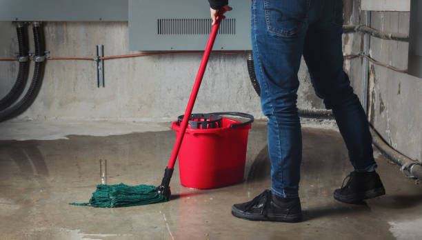 Best Sewage cleanup and water damage restoration  in Chocowinity, NC
