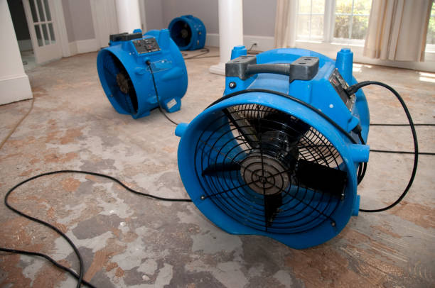 Sewage cleanup and water damage restoration in Chocowinity, NC