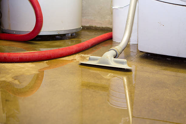 Best Local water damage restoration  in Chocowinity, NC