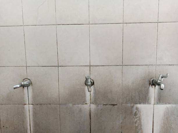 Best Flood restoration services  in Chocowinity, NC