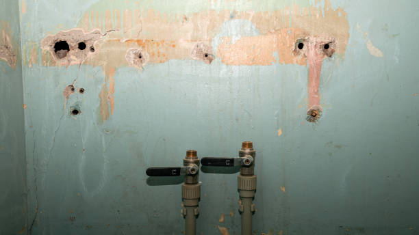 Best Basement water damage restoration  in Chocowinity, NC