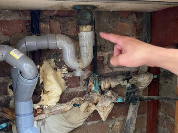 Water damage restoration experts in Chocowinity, NC