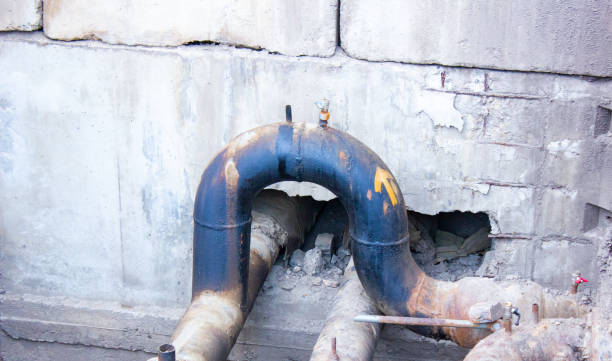 Best Flood restoration services  in Chocowinity, NC