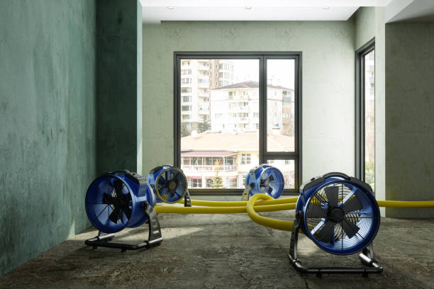 Best Sewage cleanup and water damage restoration  in Chocowinity, NC