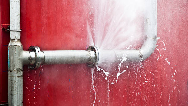 Best Water damage mitigation services  in Chocowinity, NC